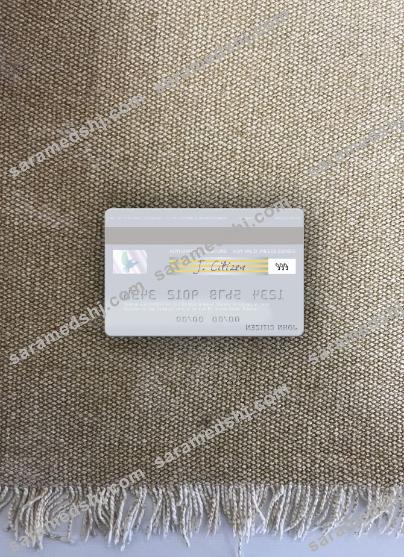 Sudan El Nilein Bank visa debit card photolook back
